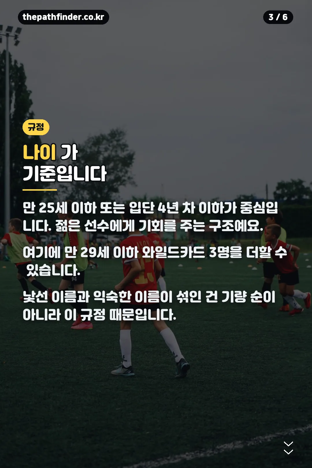 나이 제한 규정