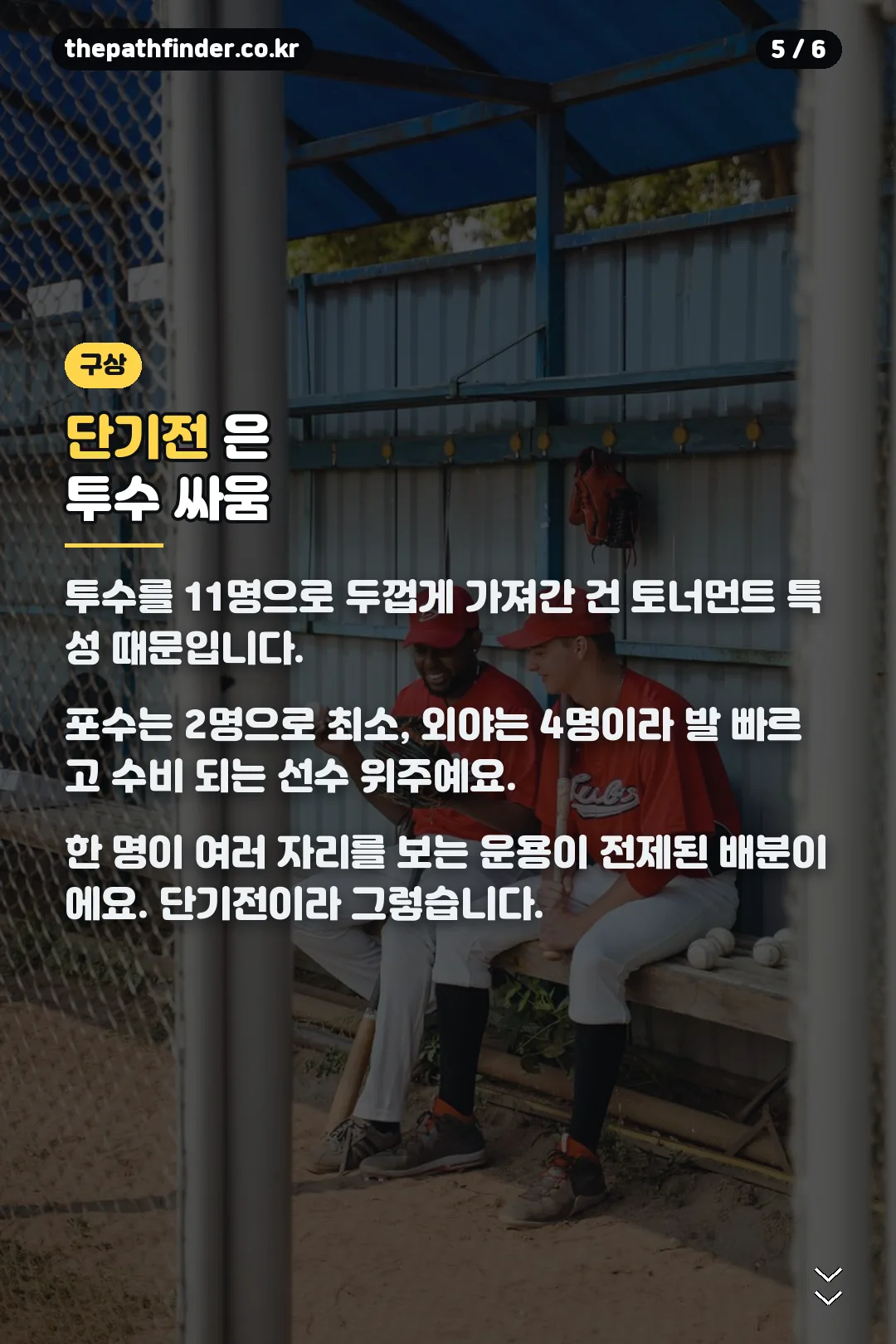 포지션 배분
