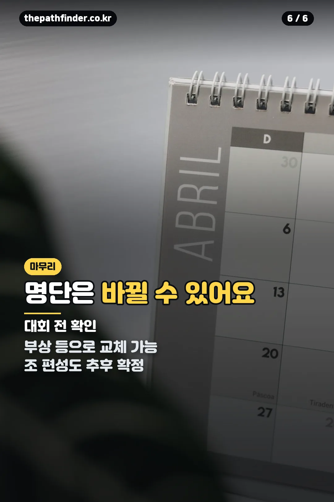 대회 전 확인