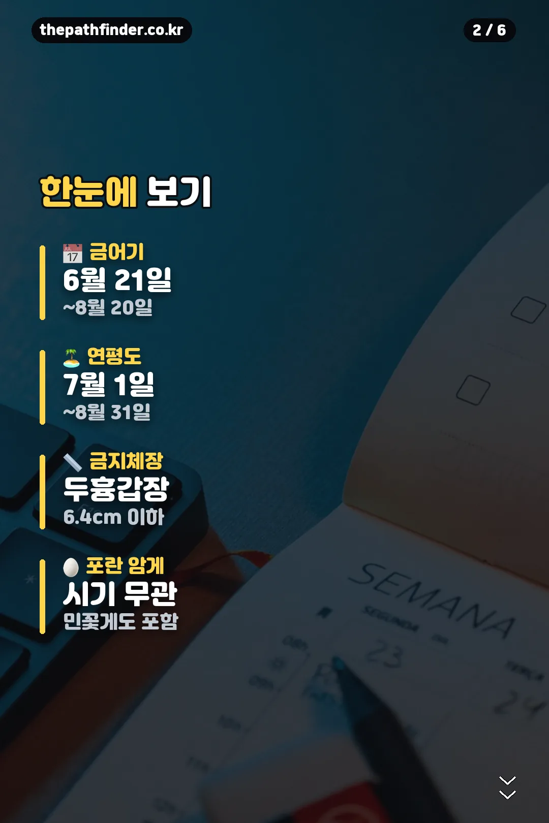 금어기와 금지체장 요약