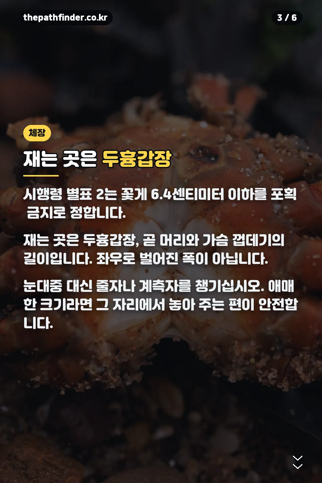 두흉갑장 계측