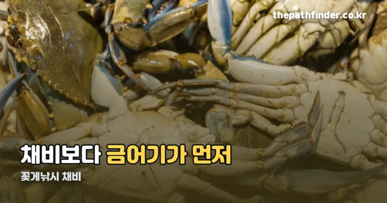 꽃게낚시 채비 — 금어기는 6월 21일부터 8월 20일까지입니다