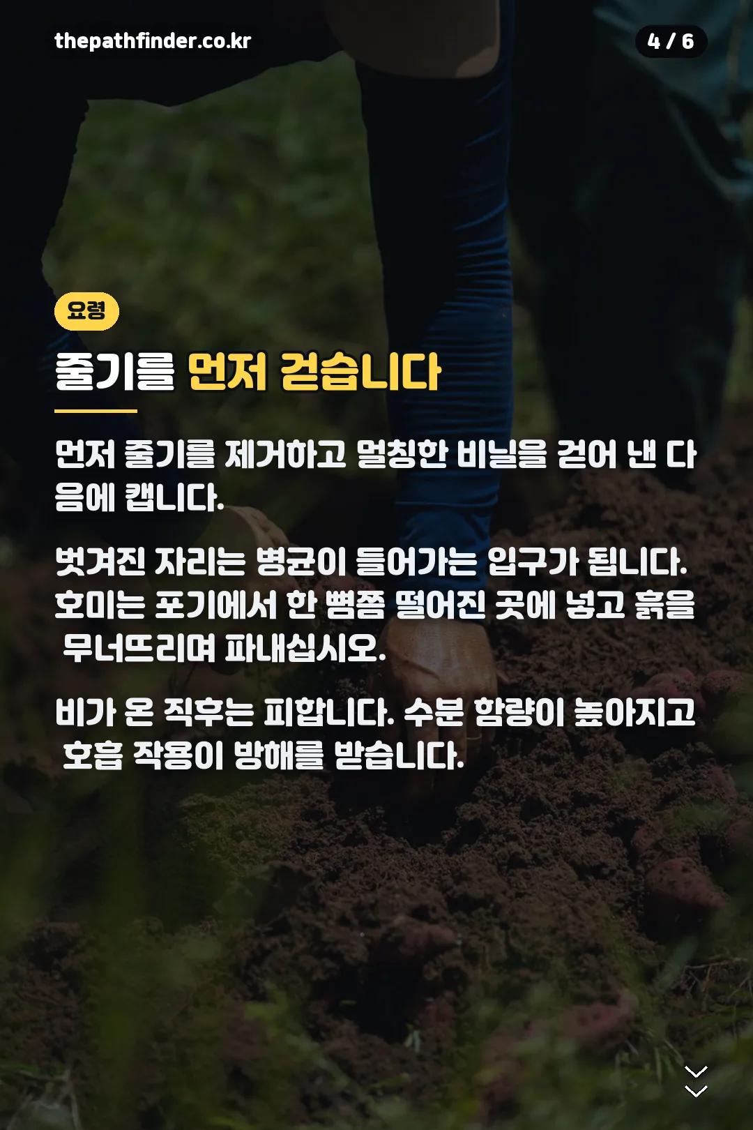 수확 요령