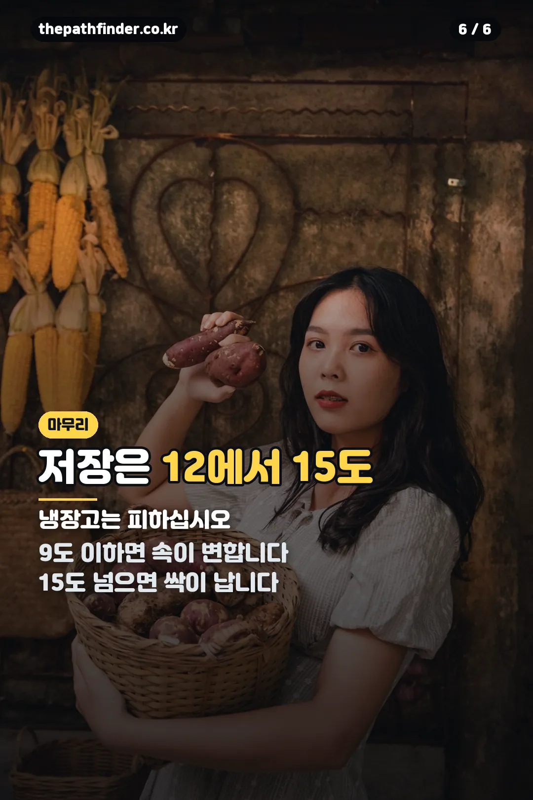 저장 온도