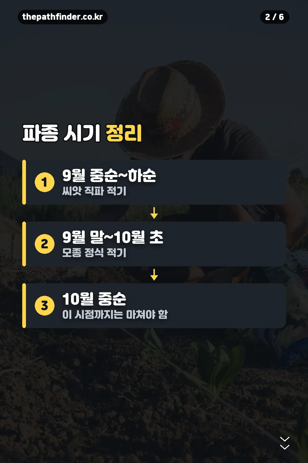 파종 시기 정리