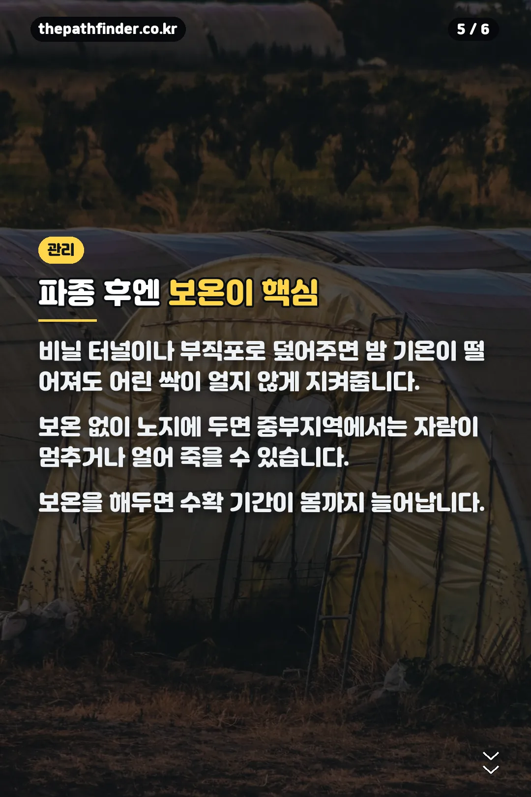 파종 후 보온 관리