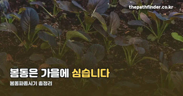 봄동파종시기 총정리 — 텃밭 기준 9월 중순부터 10월 중순까지