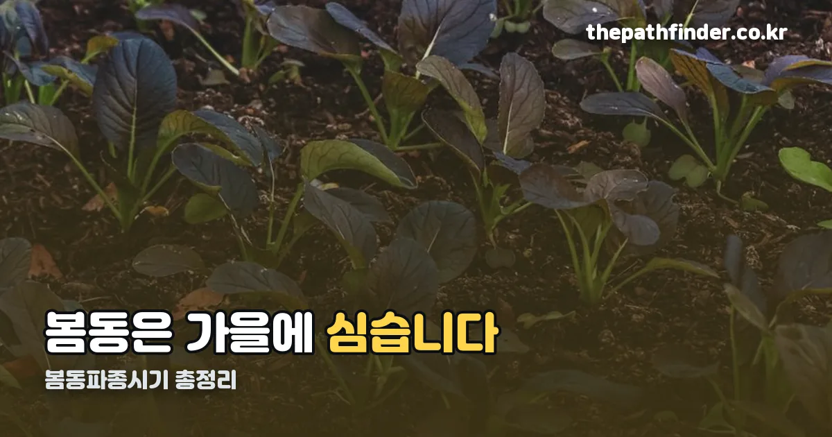 봄동파종시기 정리 썸네일