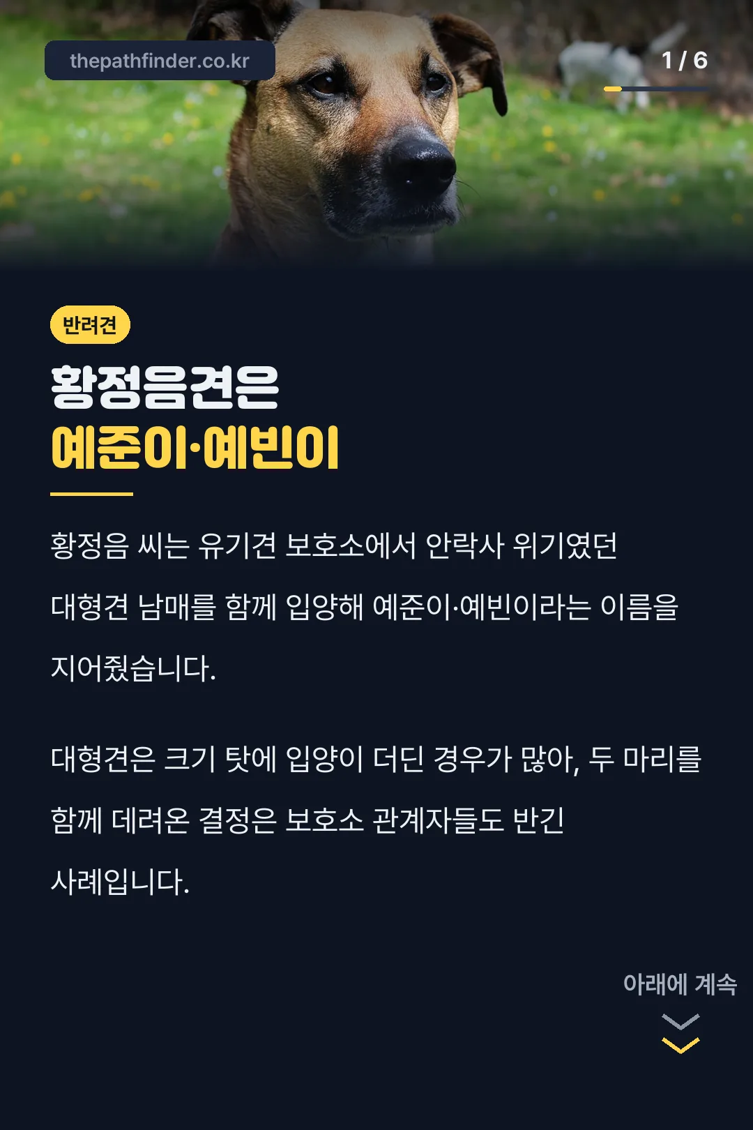 황정음견은 예준이·예빈이