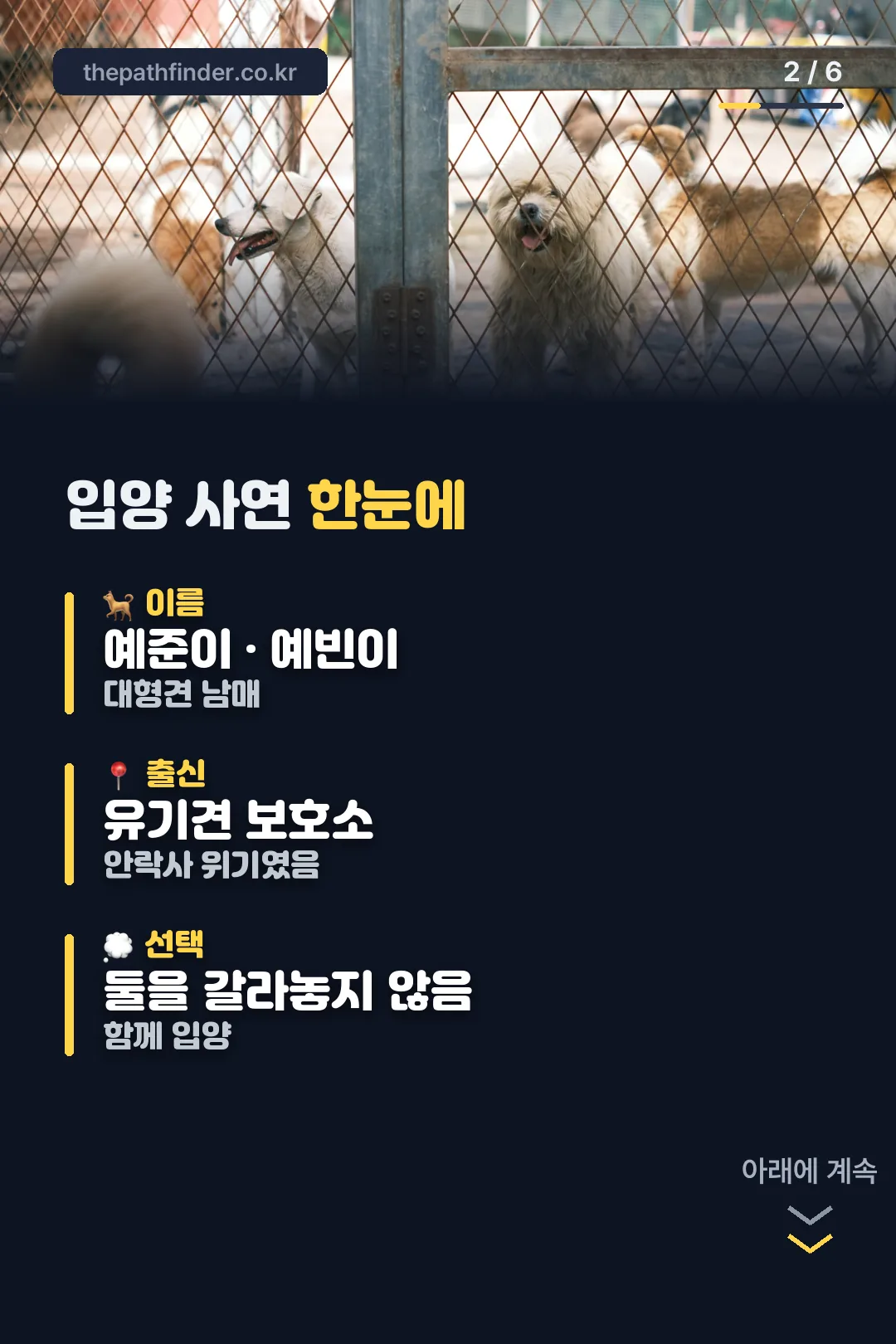 입양 사연 한눈에 보기