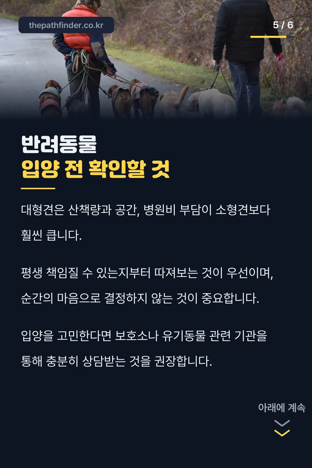 반려동물 입양 전 확인할 것