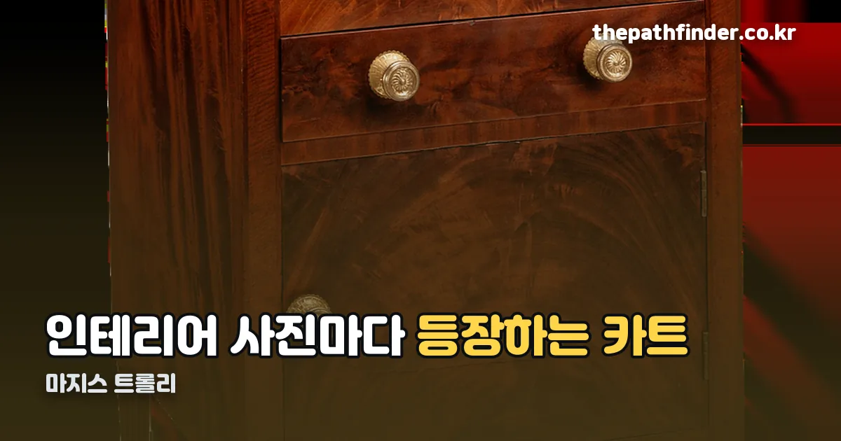 마지스 트롤리 정리 썸네일
