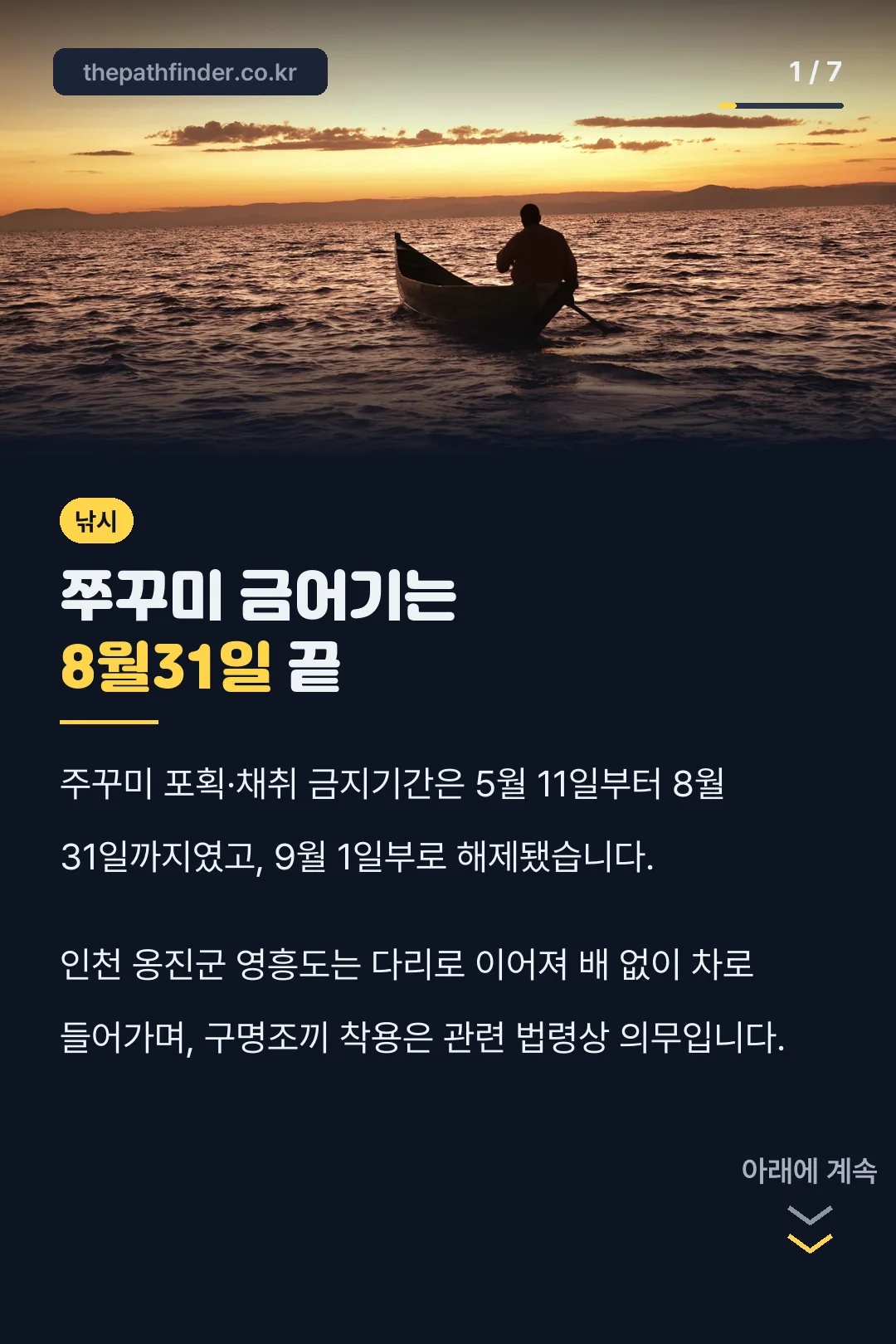 쭈꾸미 금어기는 8월31일 끝