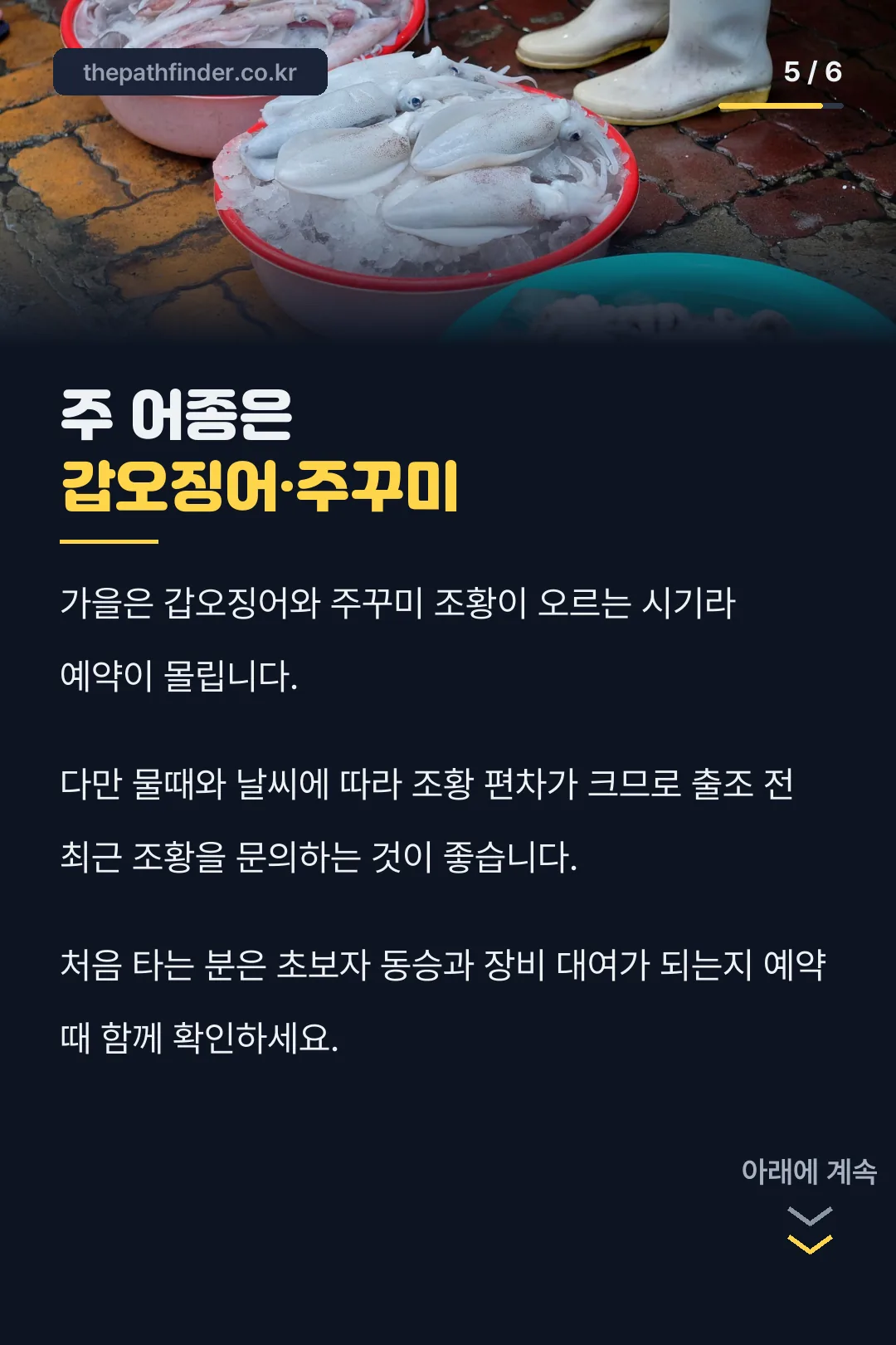 가을 주 어종 갑오징어 주꾸미