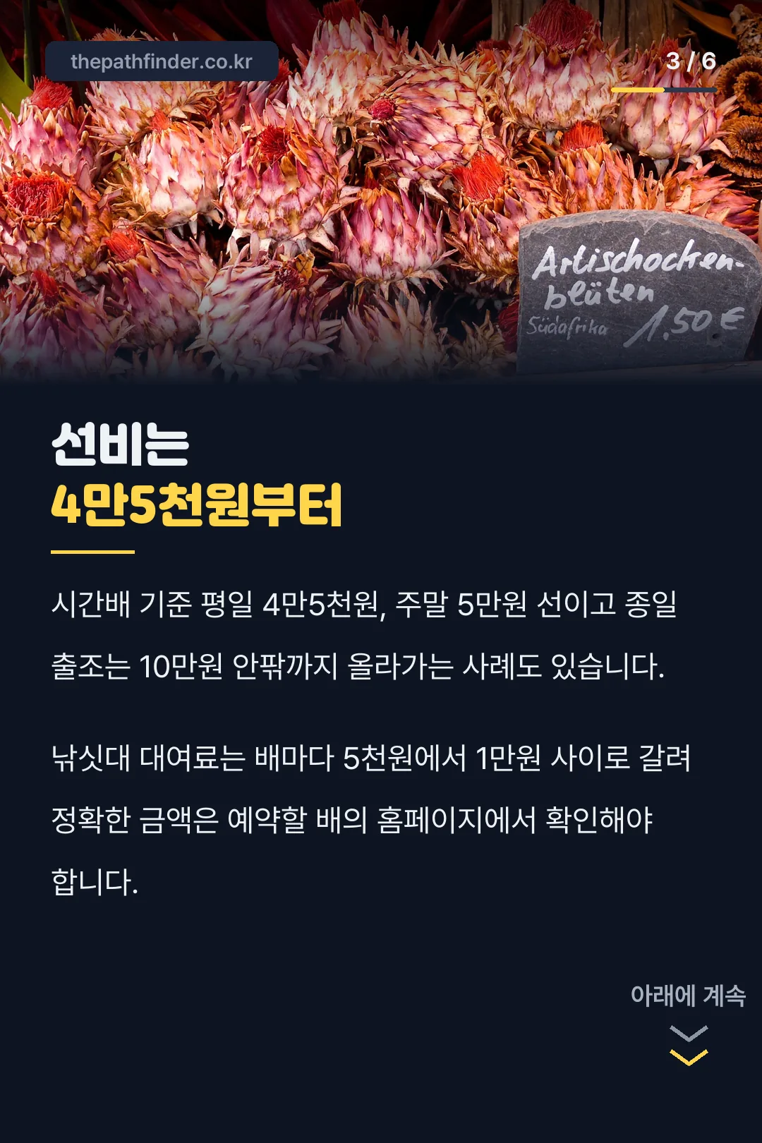 선비 시세