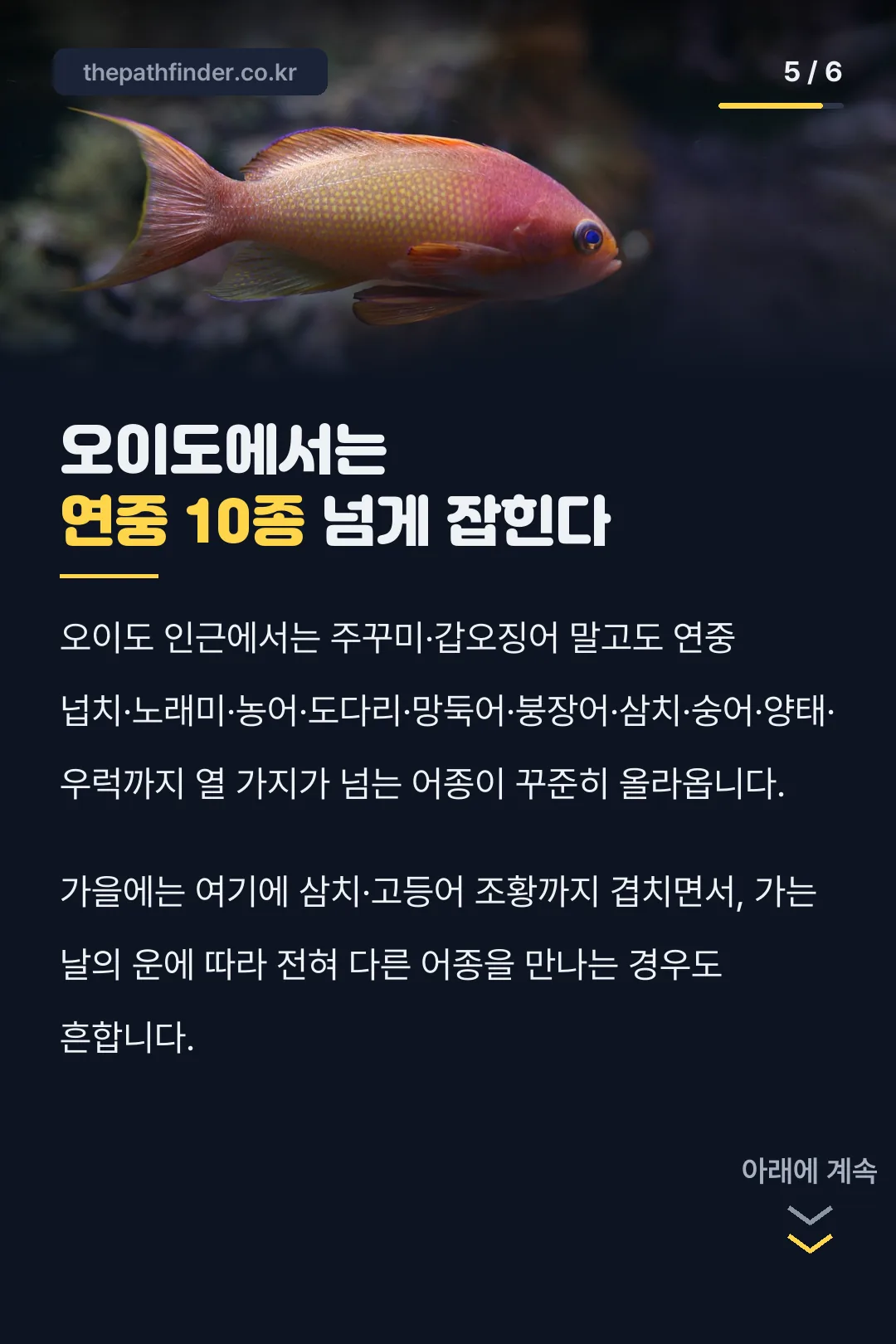 연중 잡히는 어종 다양성