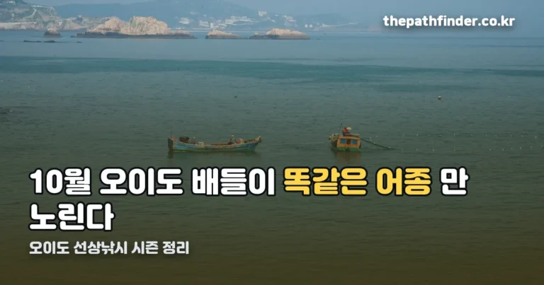 오이도 선상낚시 — 가을엔 주꾸미·갑오징어, 요금과 예약은 배마다 다릅니다