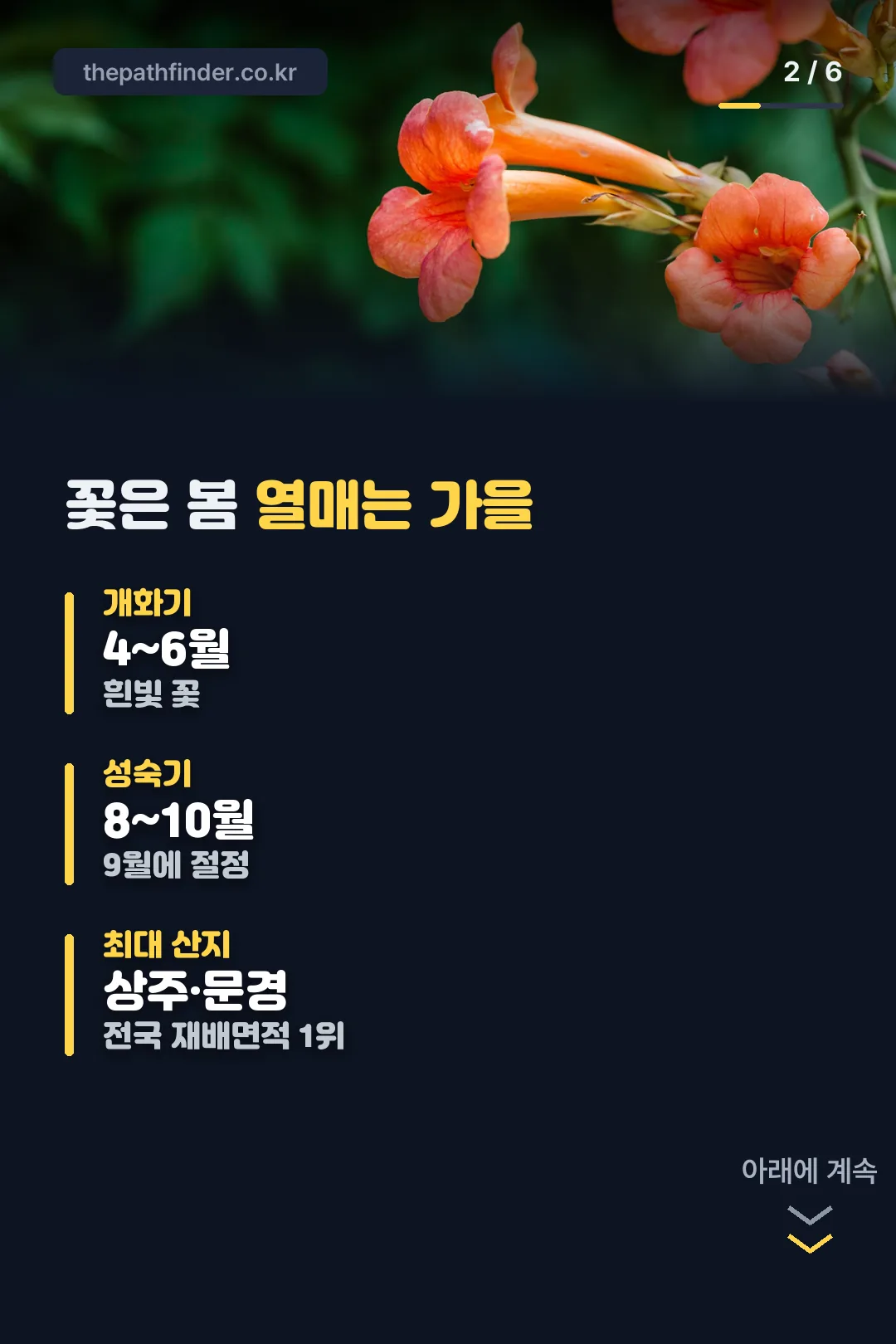 개화와 성숙 생장단계