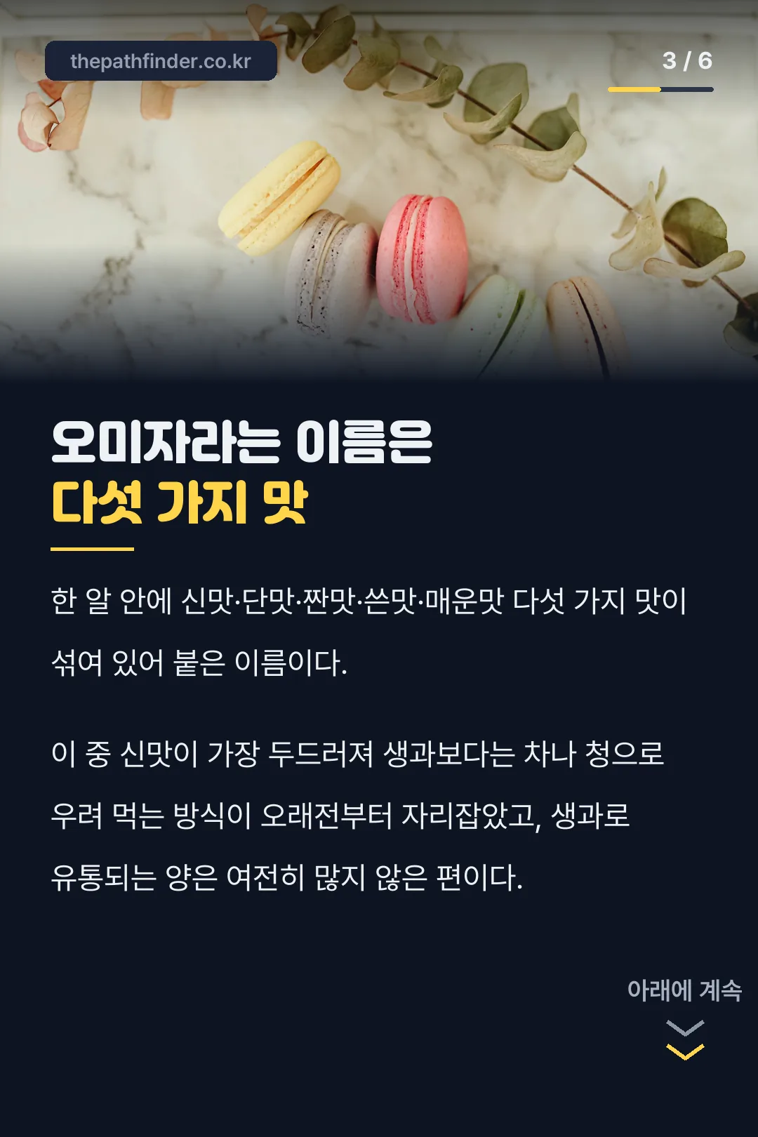 오미자 이름의 유래