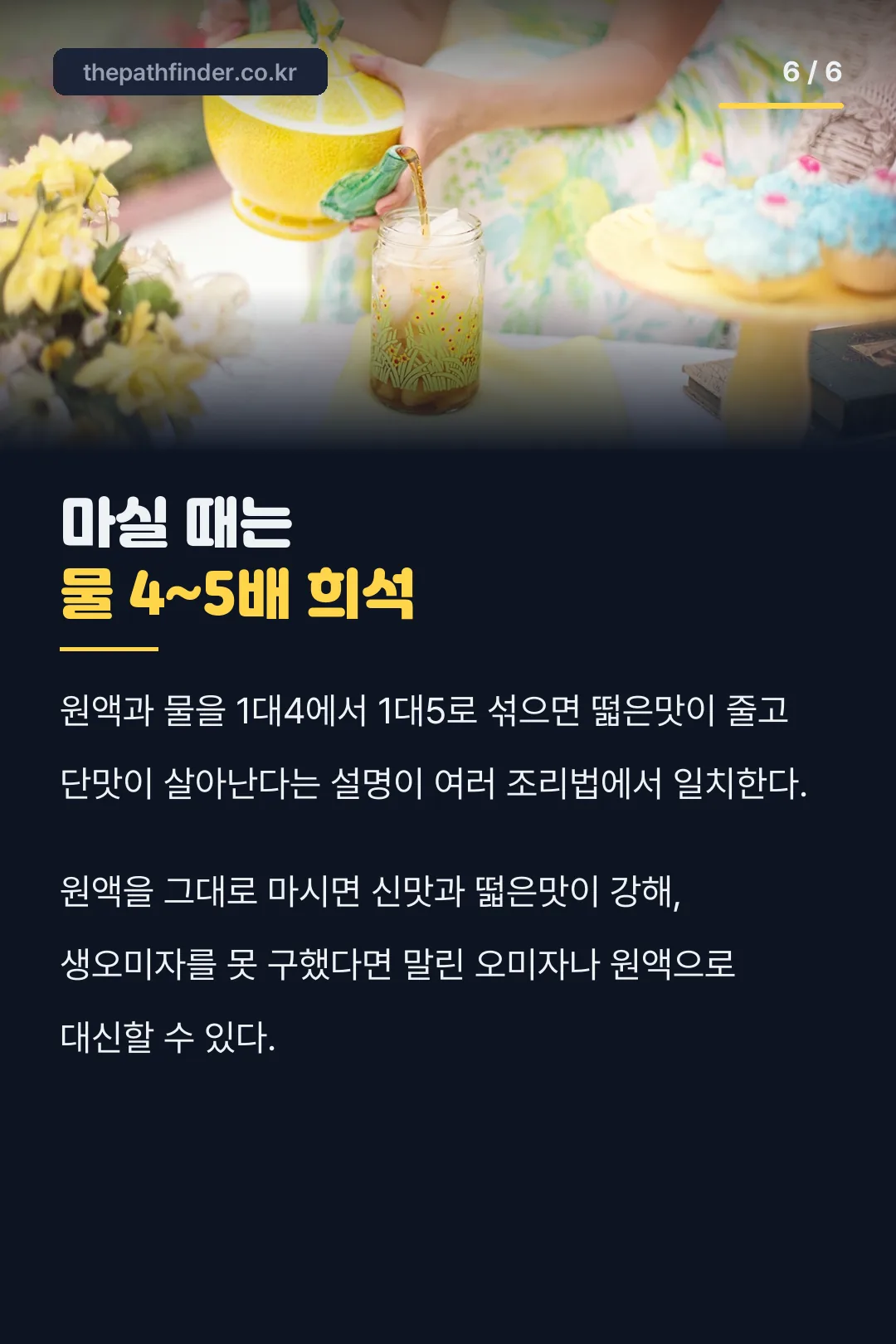 원액 희석 비율