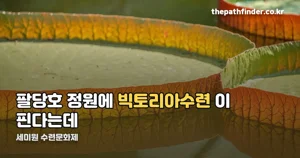 세미원 수련문화제 — 9월 1일부터 10월 31일까지, 입장료와 수련 전시 한눈에 정리