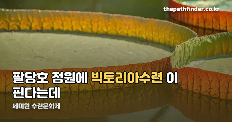 세미원 수련문화제 정리 썸네일
