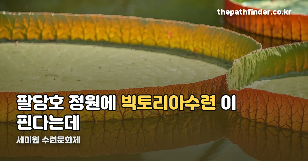 세미원 수련문화제 정리 썸네일