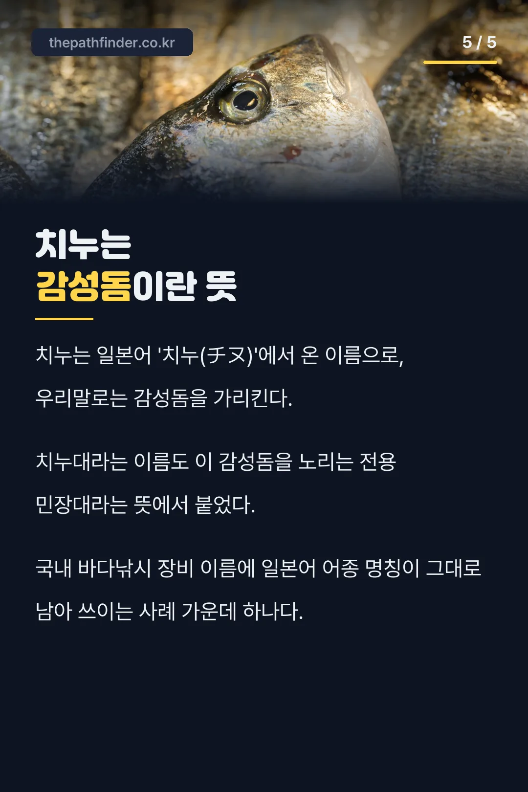 치누 명칭의 유래